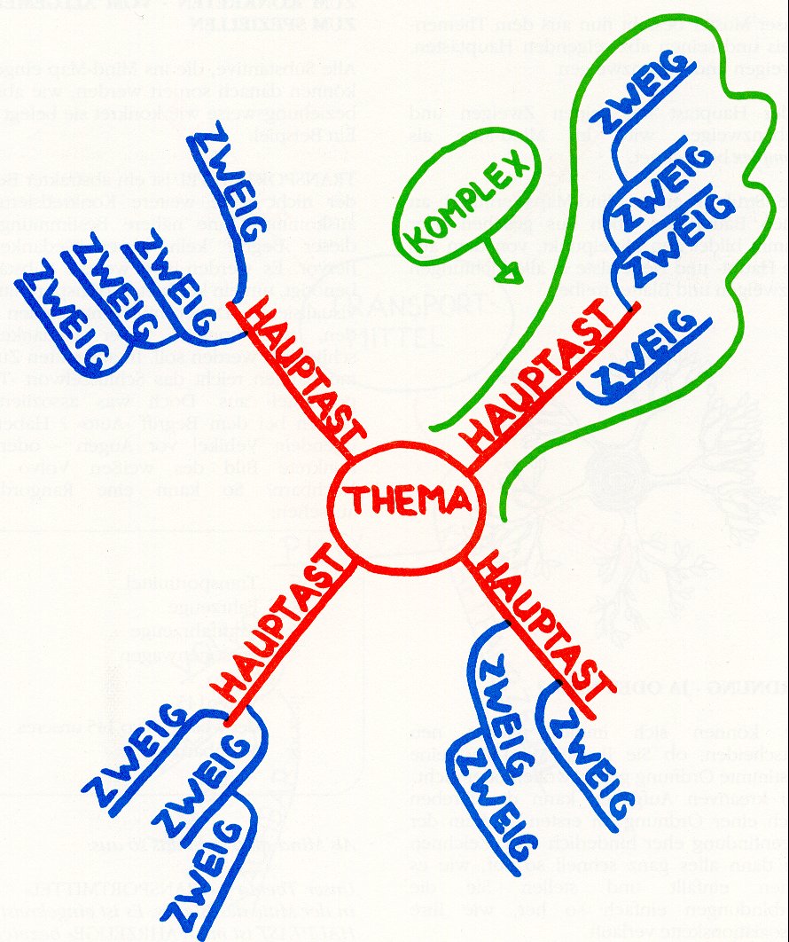 mind_map01.jpg - 200613 Bytes
