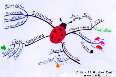 mind_map02.jpg - 16078 Bytes